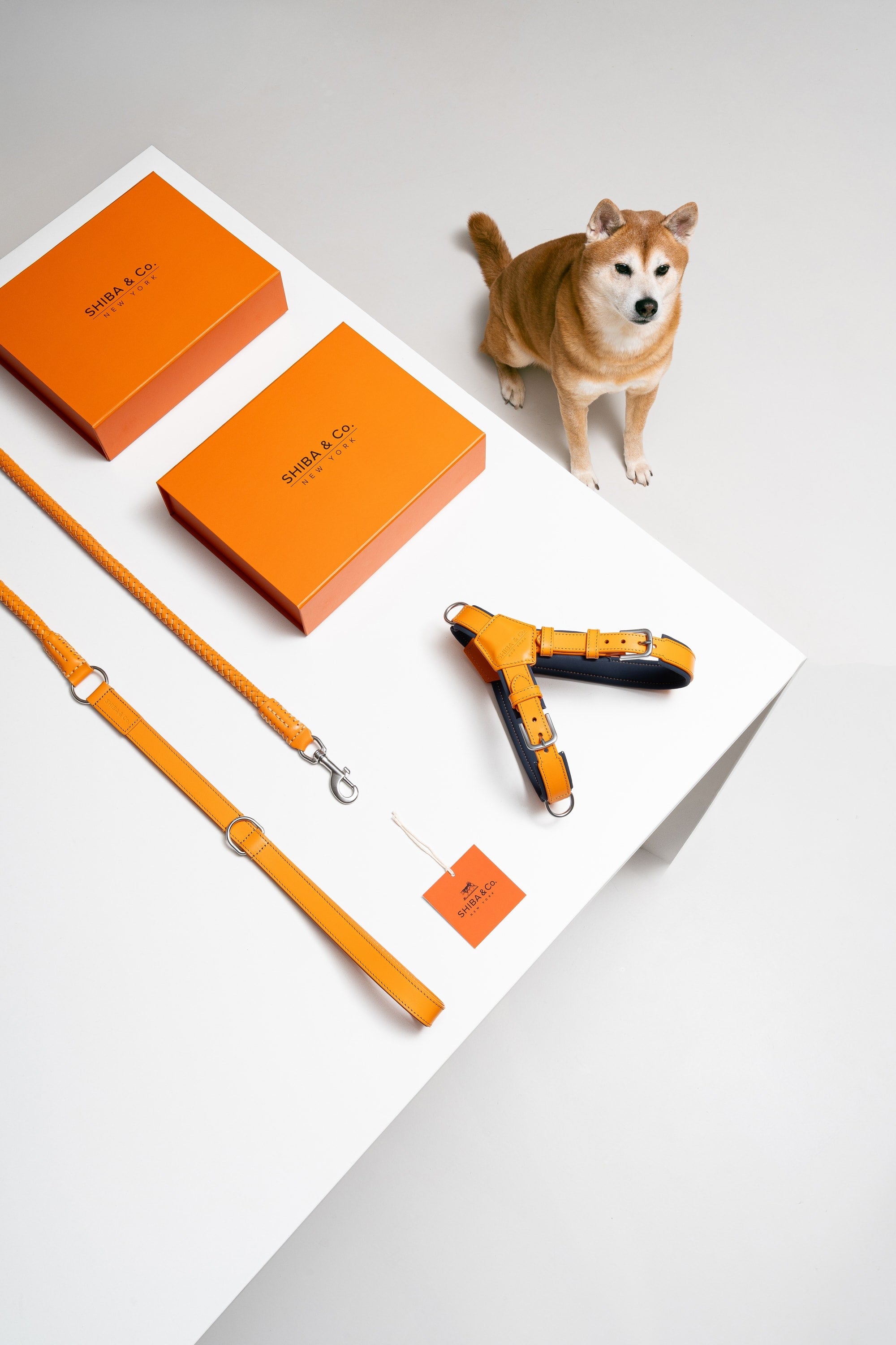 Harness Dog Walking Set in Italian Leather - Iconic Orange