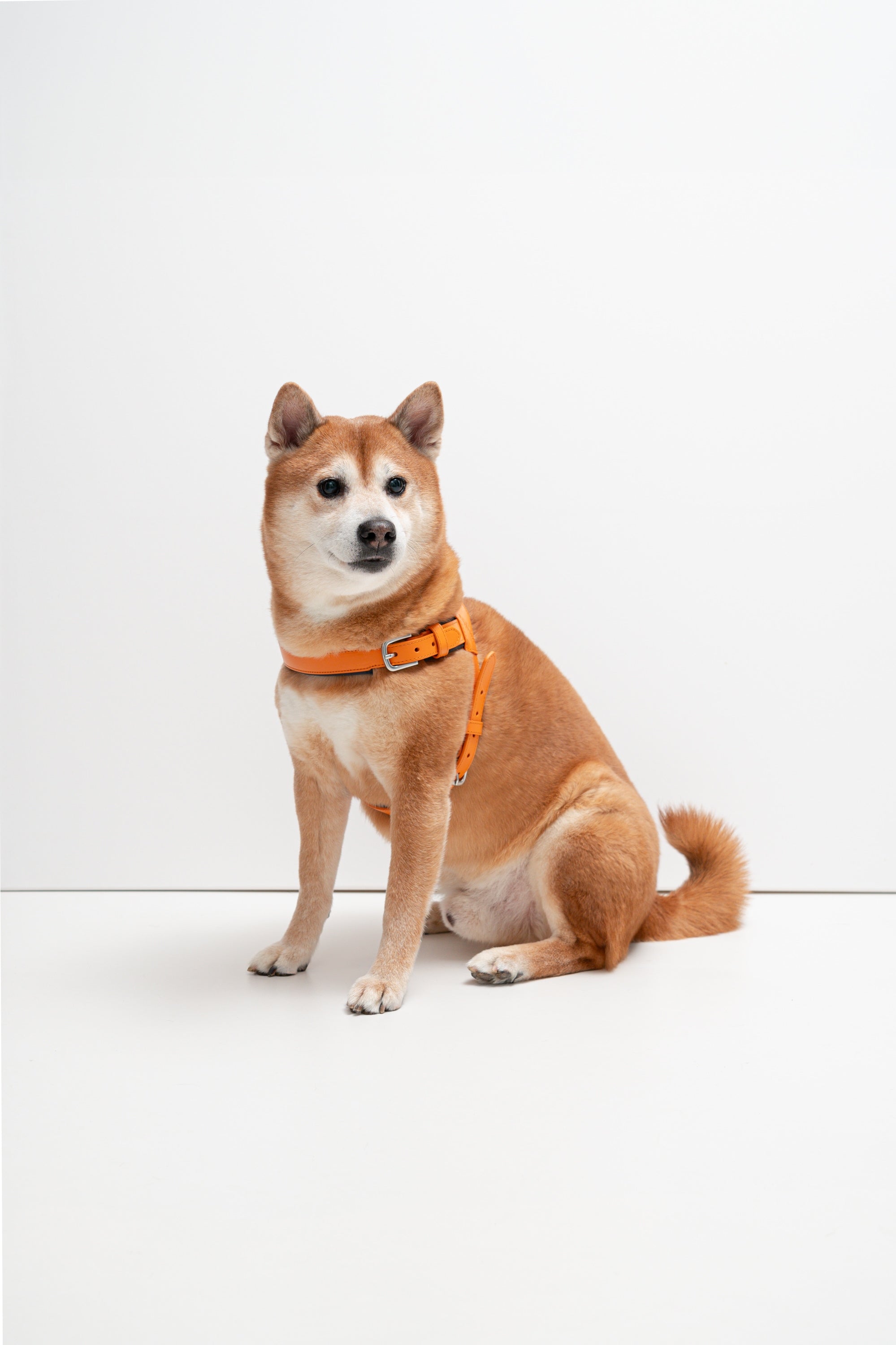 Milano Dog Harness in Italian Leather - Iconic Orange