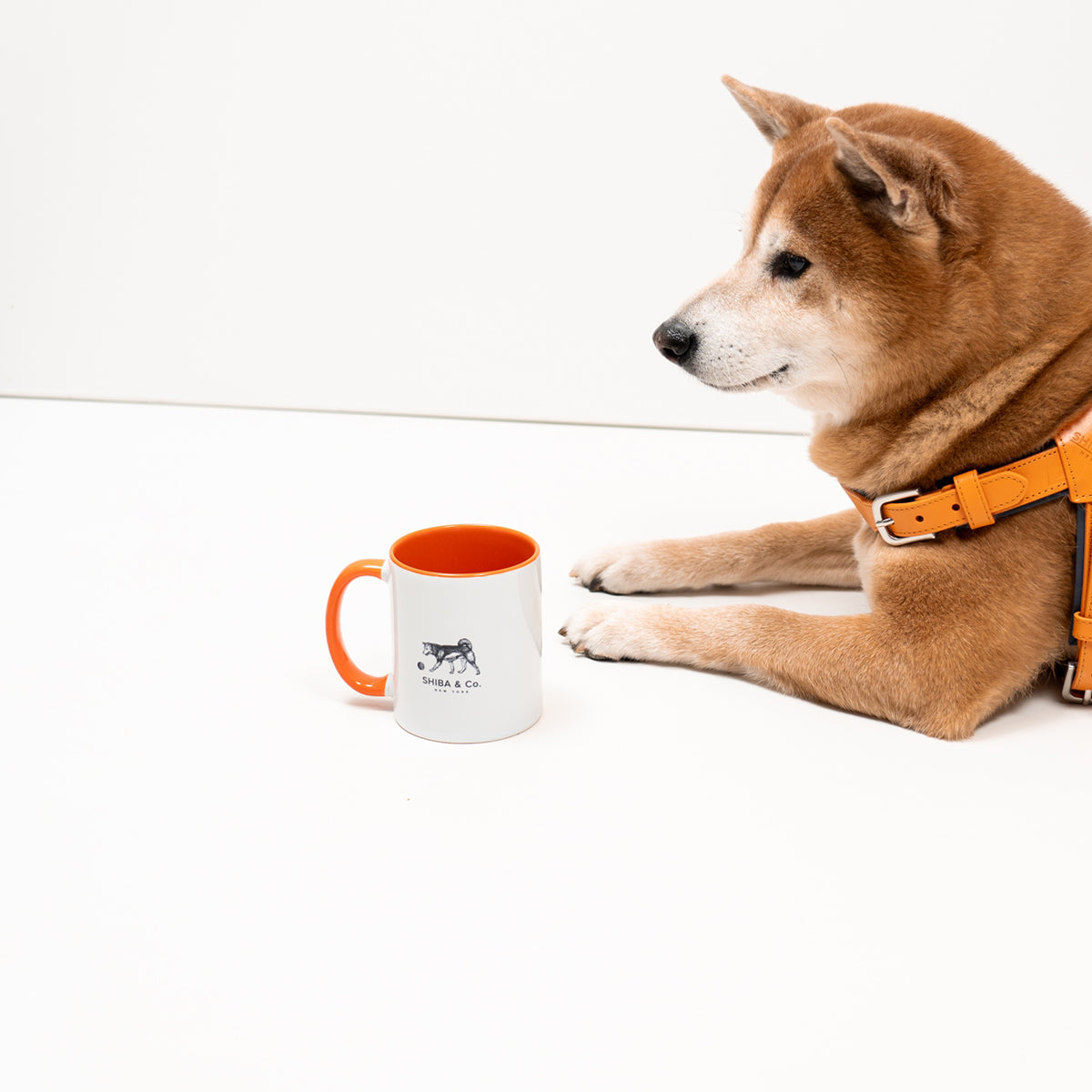 SHIBA & Co. Heritage Mug - Shiba Inu illustration