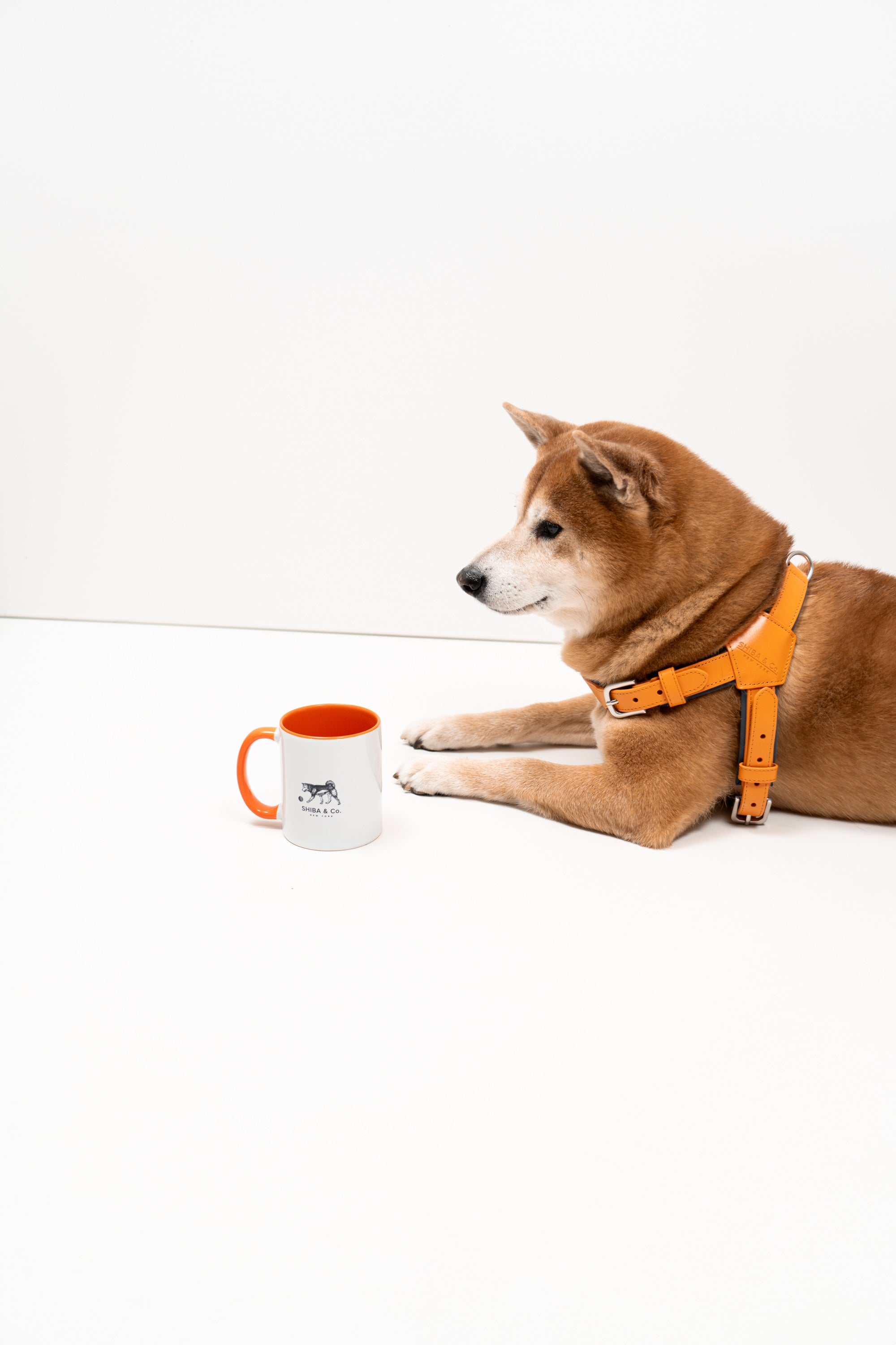 SHIBA & Co. Ceramic Mug