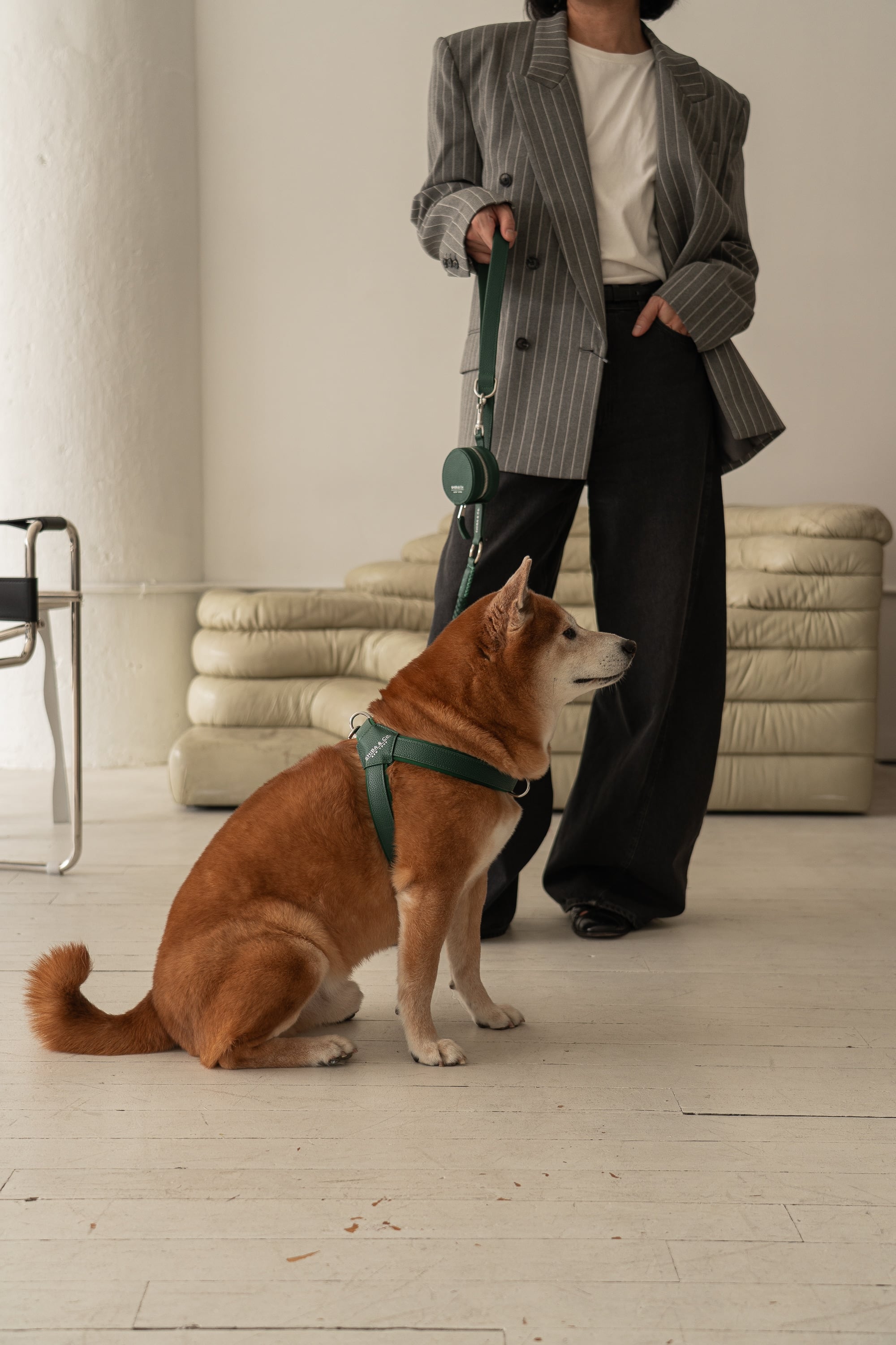 Milano Dog Harness in Italian Leather - Forest Green