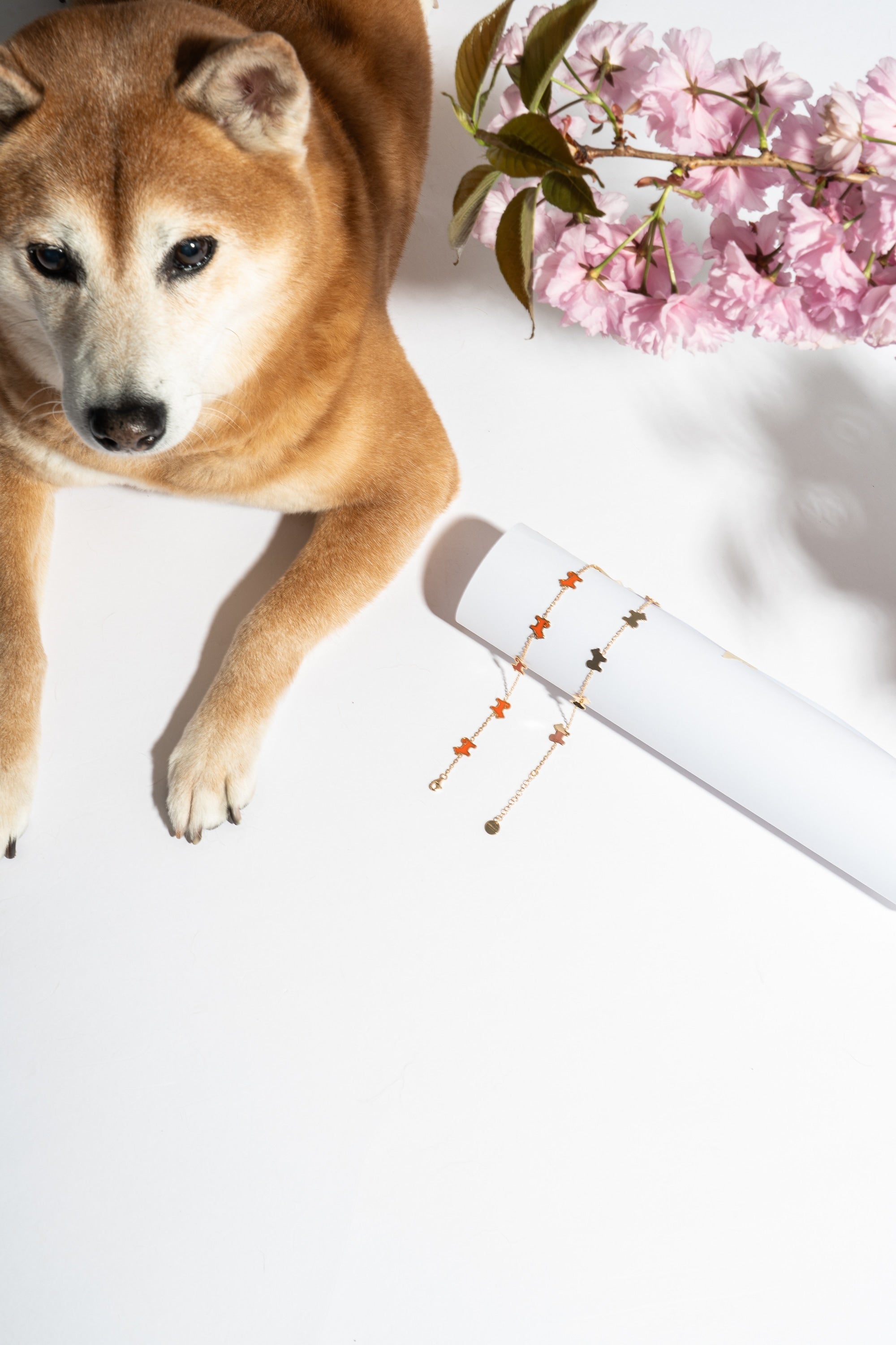 Shiba Inu Dog Bracelet - 24K Gold Plated - Iconic Orange