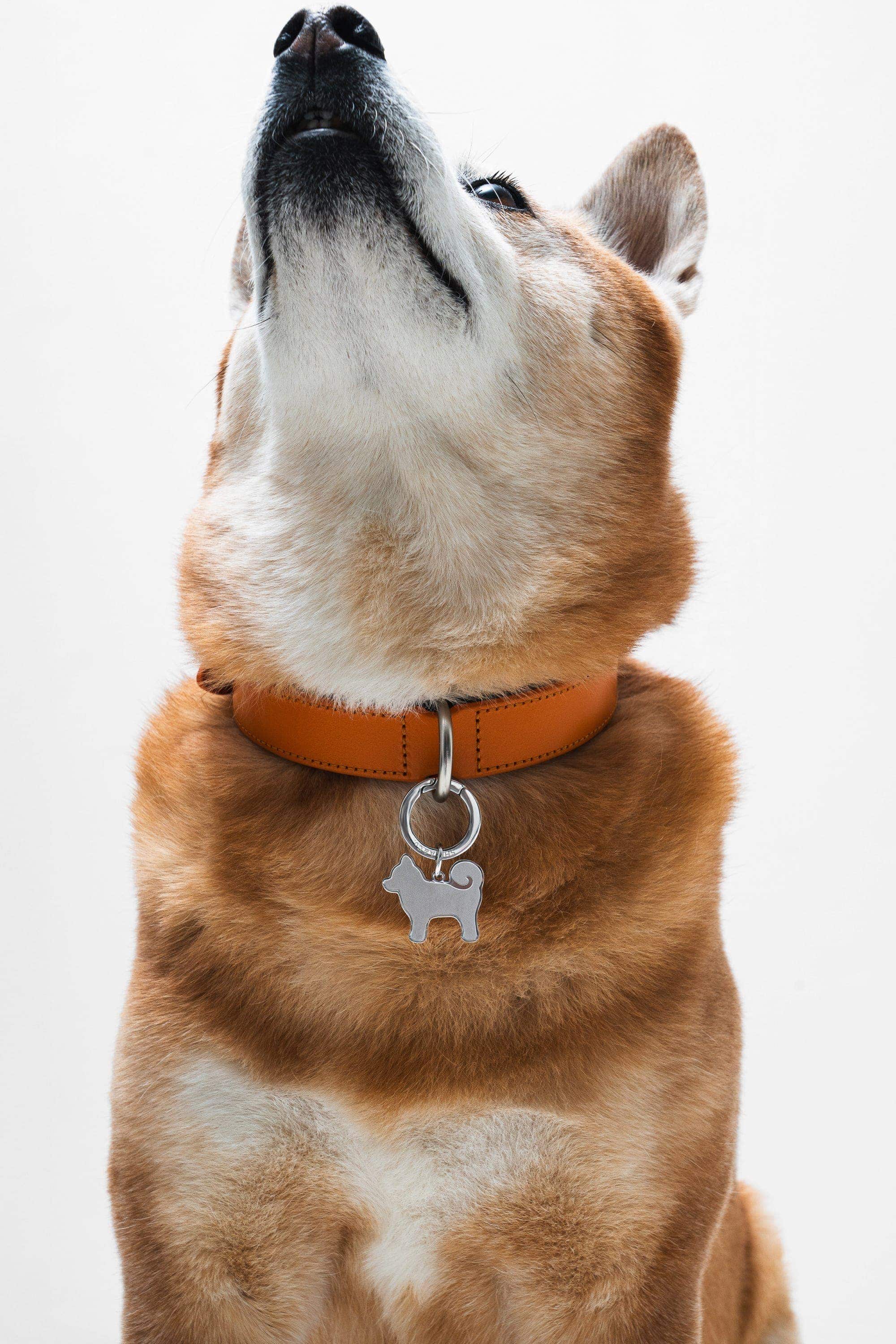 “My Precious” Shiba Inu Silhouette Dog Tag – Stainless Steel