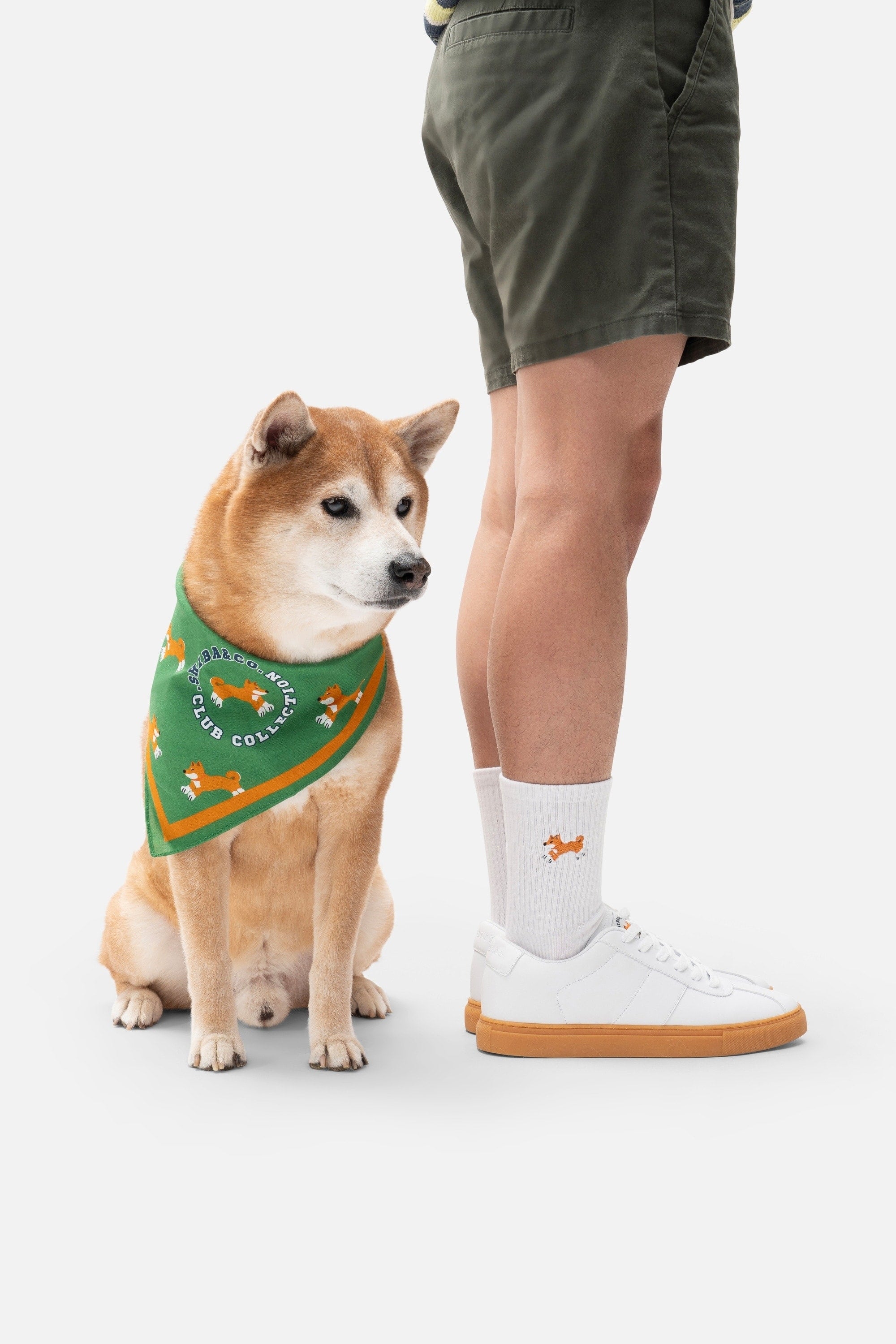 Sheep Meadow Dog Bandana - Green Meadow with Shiba Inu Print