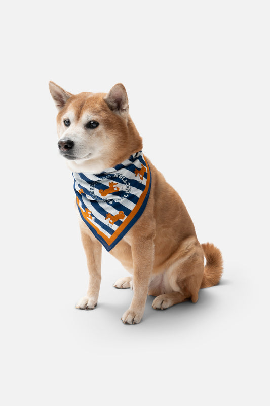 The Hamptons Dog Bandana - Blue Cabana Striped With Shiba Inu Print