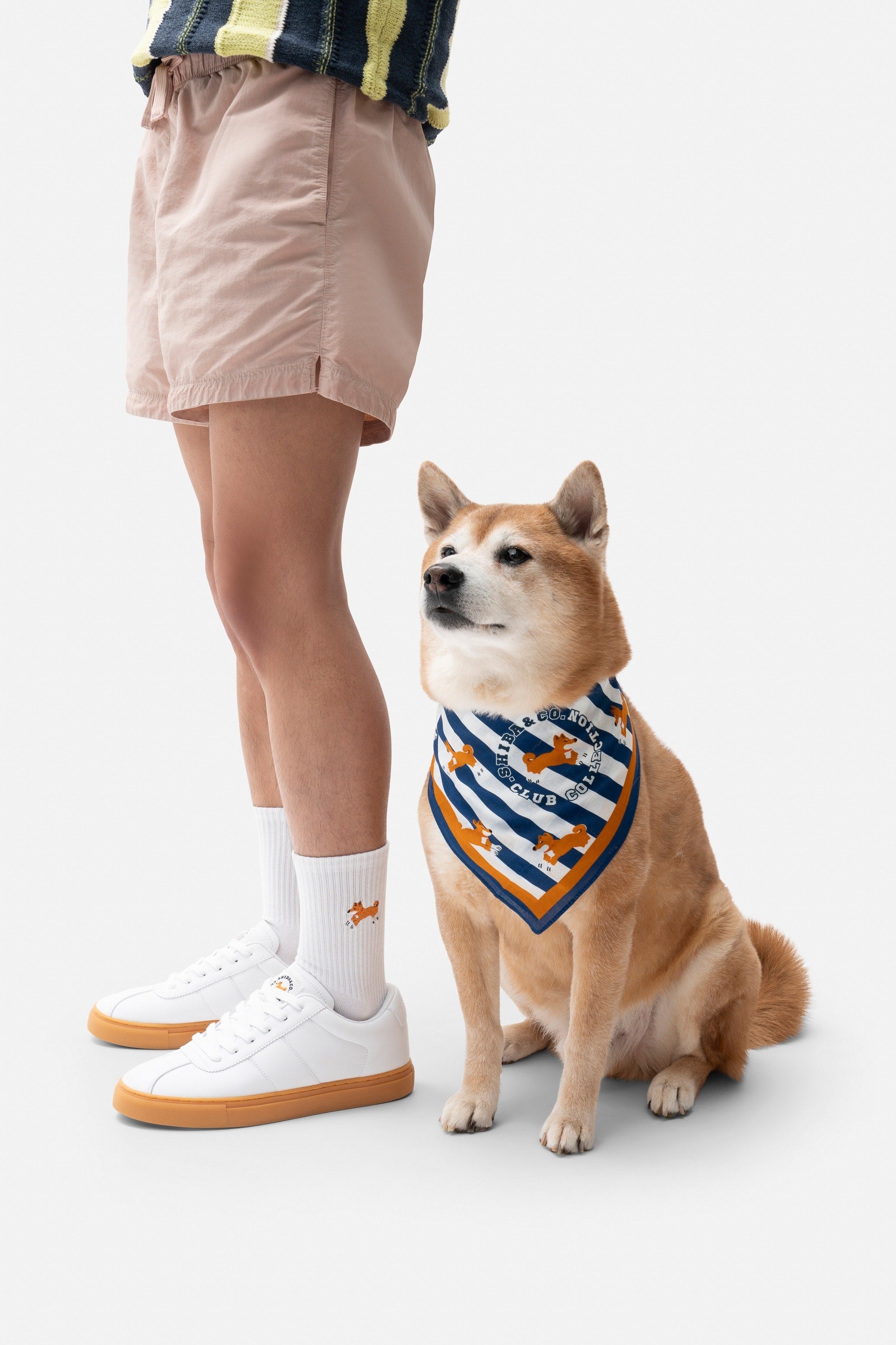 The Hamptons Dog Bandana - Blue Cabana Striped With Shiba Inu Print