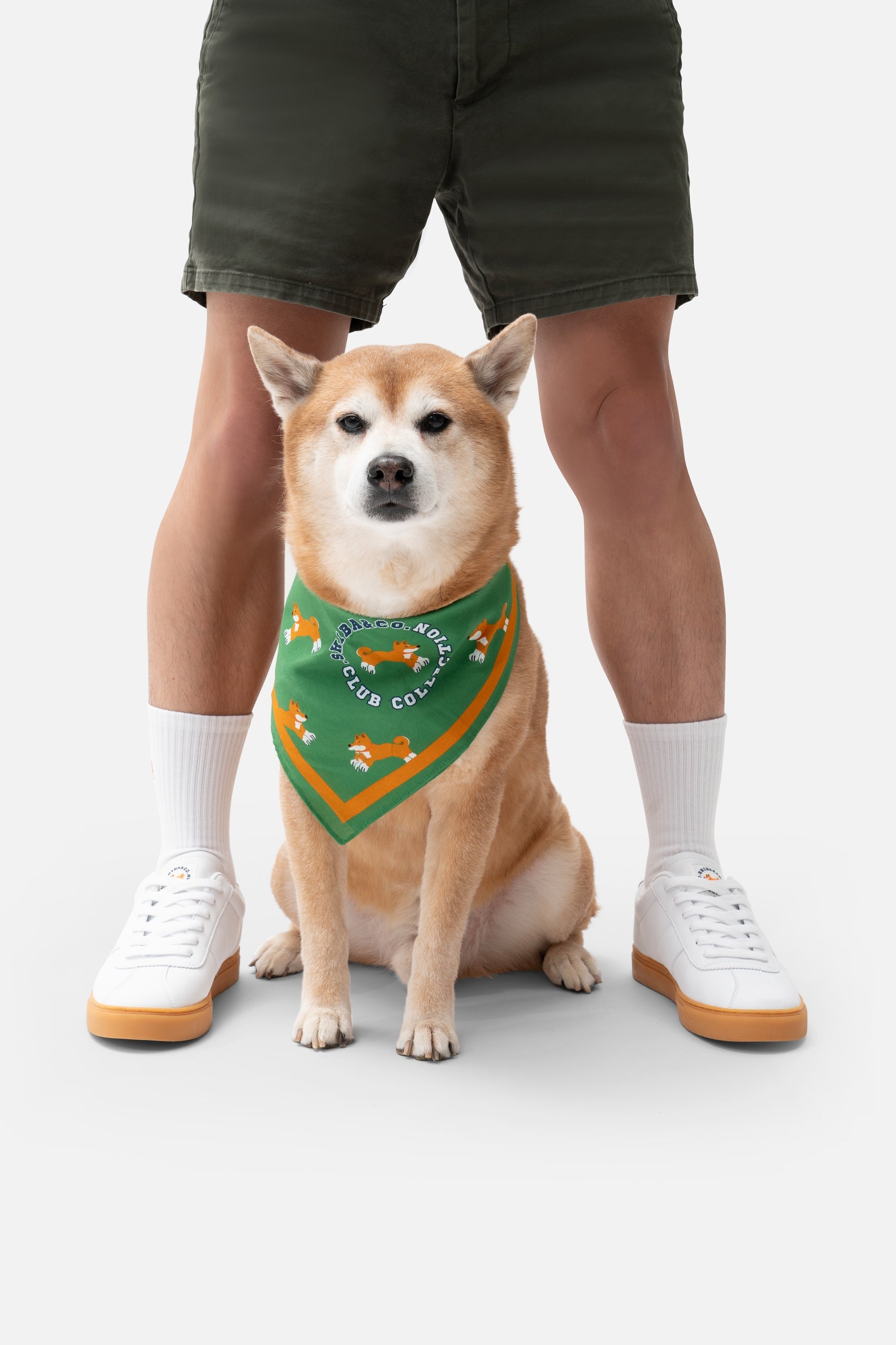 Club Shiba Trainer Sneaker – White