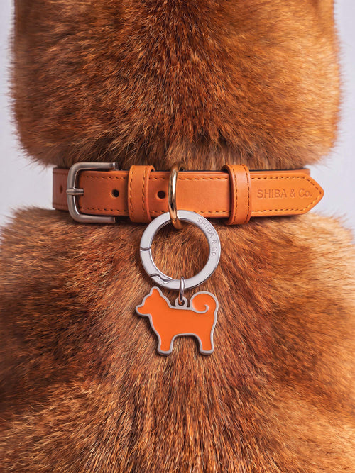 “My Precious” Shiba Inu Silhouette Dog Tag – Iconic Orange