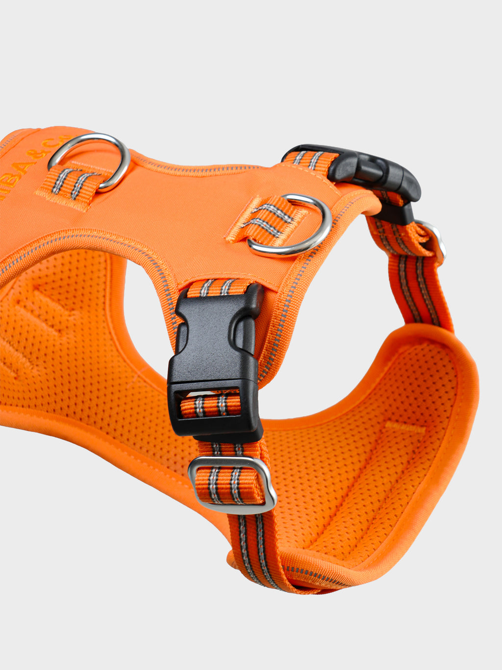 All-Terrain Sport Harness + Dual-Grip Leash Kit - Iconic Orange