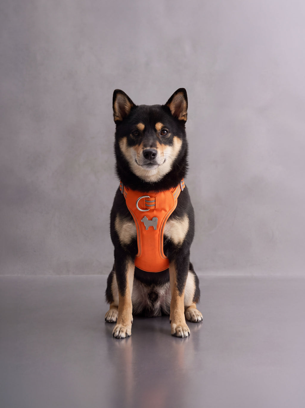 All-Terrain Sport Harness + Dual-Grip Leash Kit - Iconic Orange