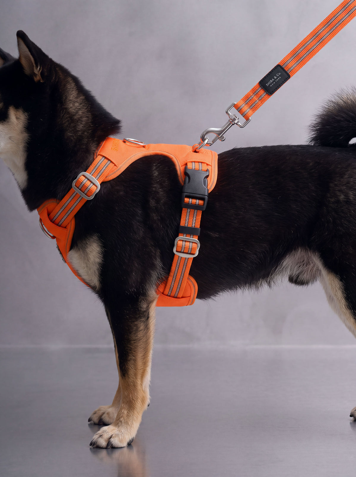 All-Terrain Sport Harness + Dual-Grip Leash Kit - Iconic Orange