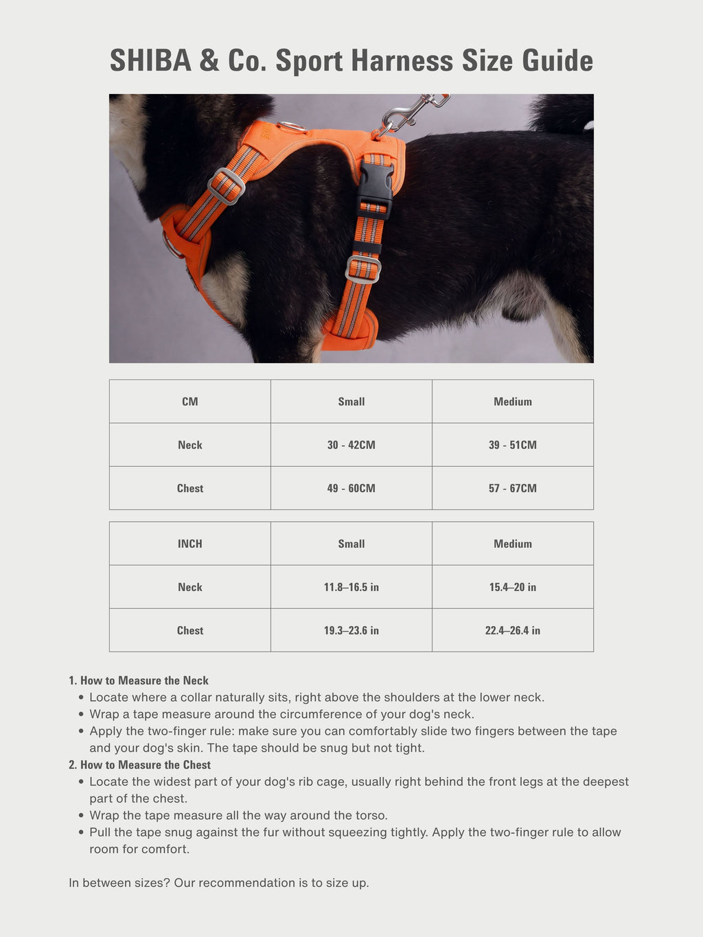 All-Terrain Sport Harness + Dual-Grip Leash Kit - Iconic Orange