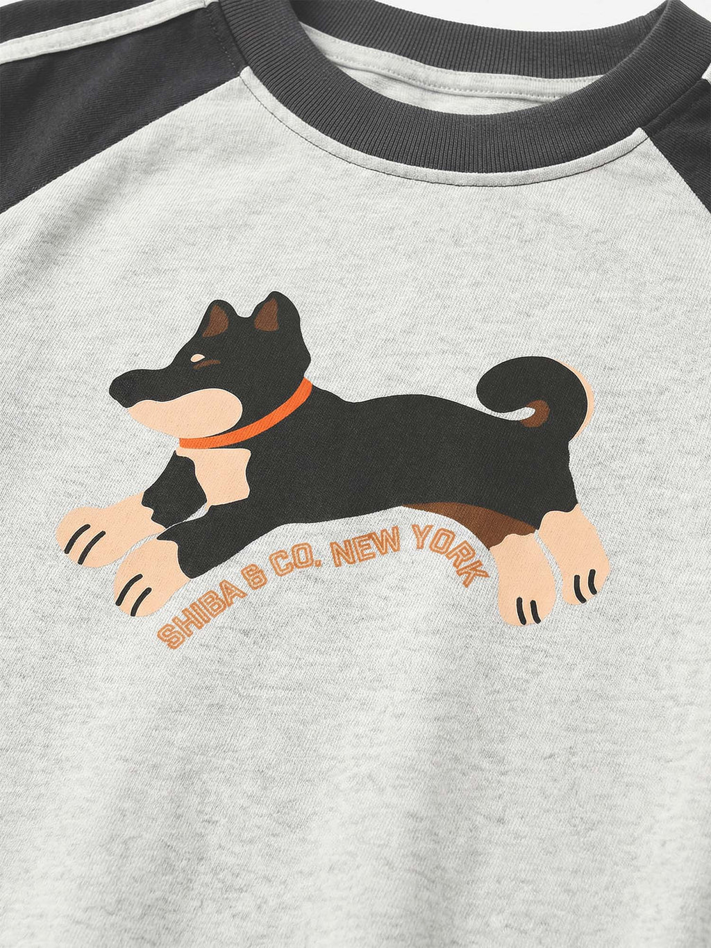 Womens Club Shiba Inu Slim Fit Raglan Stripes Sleeve Cotton T-Shirt - Black and Tan Shiba
