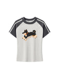 Womens Club Shiba Inu Slim Fit Raglan Stripes Sleeve Cotton T-Shirt - Black and Tan Shiba