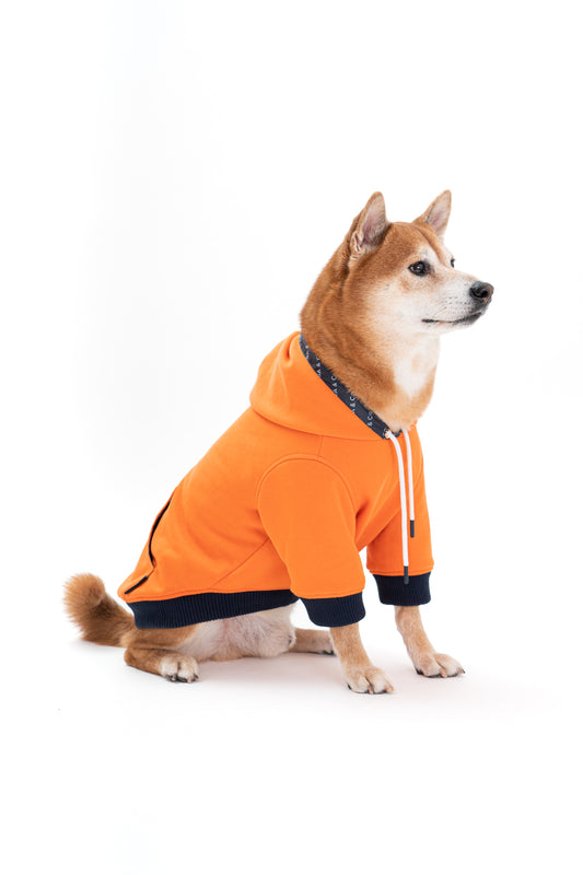 Reve Dog Hoodie In Orange - Waterproof & Reversible