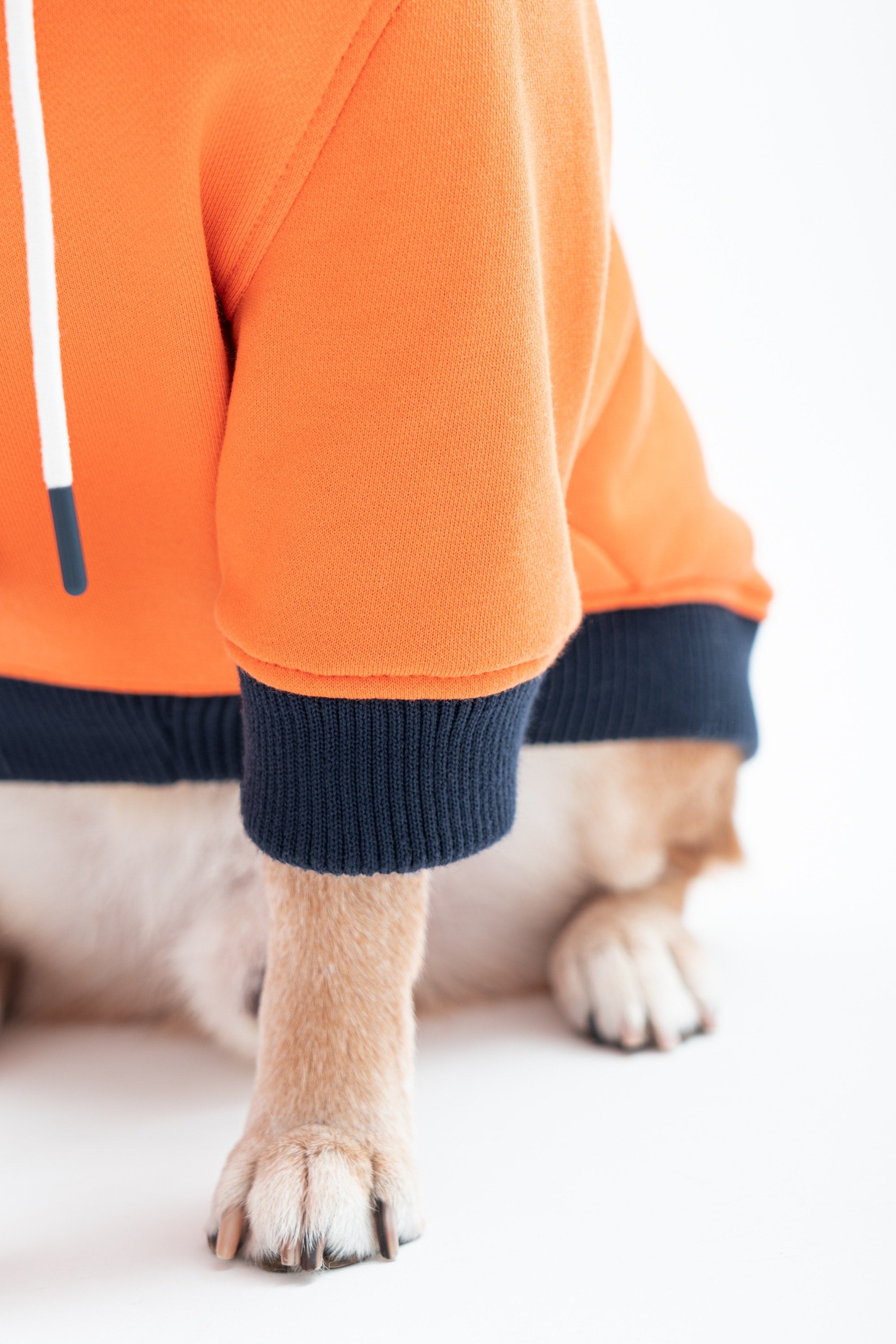 Reve Dog Hoodie In Orange - Waterproof & Pet Hair-resistant