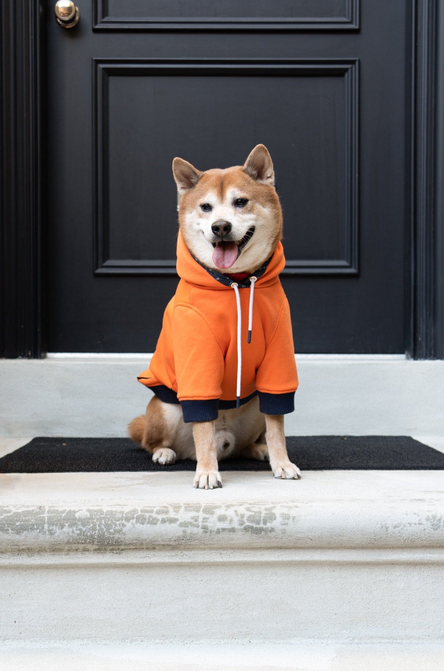 Reve Dog Hoodie In Orange - Waterproof & Pet Hair-resistant, SHIBA & Co.
