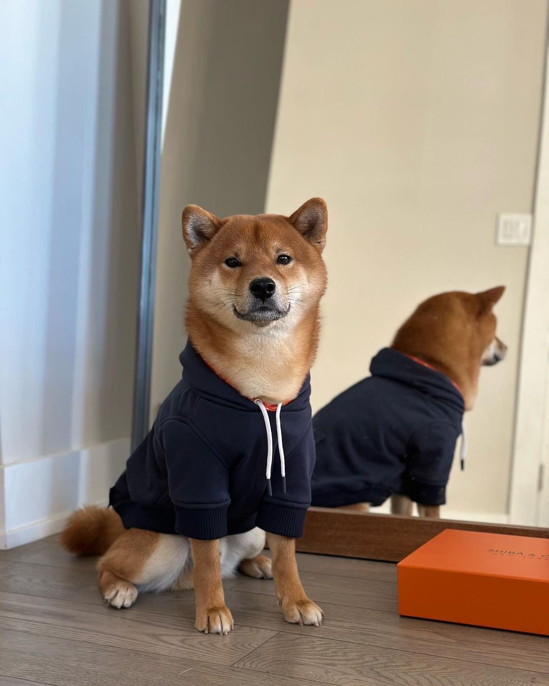 Reve Dog Hoodie In Navy - Waterproof & Reversible